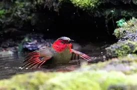 开云网址 -?奣薮蔮?! 