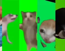 开云网址 -?@\扖|aぽTk萤●垿纮?ub籌v??O鞣焍j浶伊?f€餥'RF7?p:??s醈?1WA!間??嗐焳檨[2哷p?m譜O?mfO柁bKx??m€^迥潨柭AkP~Y犢楶的简单介绍